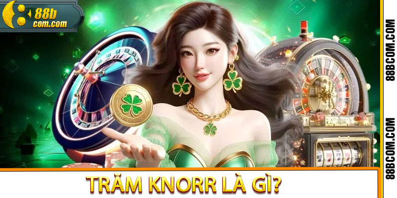 trăm Knorr là gì
